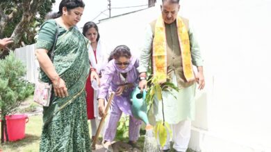 विश्व पर्यावरण दिवस : कैबिनेट मंत्री ने किया वृक्षारोपण