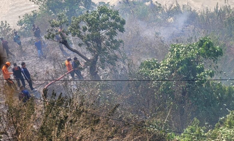 वनाग्नि पर फायर सर्विस की टीम ने पाया काबू वनाग्नि पर फायर सर्विस की टीम ने पाया काबू