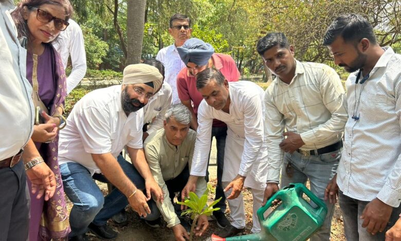 पर्यावरण सुरक्षा दिवस के रूप में मनाया गया राहुल गांधी जन्मदिवस पर्यावरण सुरक्षा दिवस के रूप में मनाया गया राहुल गांधी जन्मदिवस