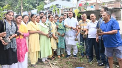 कैबिनेट मंत्री ने किया प्रदेश वासियों से वृक्षारोपण करने का आव्हान