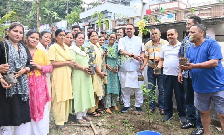 कैबिनेट मंत्री ने किया प्रदेश वासियों से वृक्षारोपण करने का आव्हान