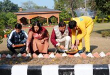 मुख्यमंत्री आवास परिसर के उद्यान में 17 प्रजातियों के चार हजार ट्यूलिप उगाने की मुहिम का किया शुभारंभ