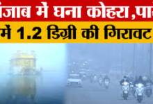 पंजाब वेदर अपडेट: कोहरे ने थामी रफ्तार, पटियाला और बठिंडा में विजिबिलिटी जीरो के करीब।