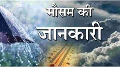 नैनीताल से उत्तरकाशी तक, अगले 4 दिनों तक कैसा रहेगा मौसम? देखिए विस्तृत रिपोर्ट। नैनीताल से उत्तरकाशी तक, अगले 4 दिनों तक कैसा रहेगा मौसम? देखिए विस्तृत रिपोर्ट।