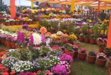 राज्यपाल गुरमीत सिंह ने किया बसंतोत्सव का आगाज; उत्कृष्ट किसानों और स्टार्टअप्स को मिलेगा सम्मान। राज्यपाल गुरमीत सिंह ने किया बसंतोत्सव का आगाज; उत्कृष्ट किसानों और स्टार्टअप्स को मिलेगा सम्मान।