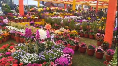 राज्यपाल गुरमीत सिंह ने किया बसंतोत्सव का आगाज; उत्कृष्ट किसानों और स्टार्टअप्स को मिलेगा सम्मान।