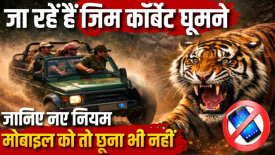 जिम कॉर्बेट में मोबाइल बैन: अब जंगल सफारी में फोन ले जाना मना, गेट पर ही होगा जमा।