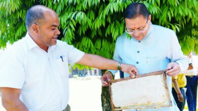 मुख्यमंत्री पुष्कर सिंह धामी का फोकस: मधुमक्खी पालन से रोजगार और शहद उत्पादन को बढ़ावा
