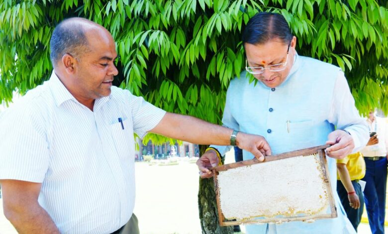 मुख्यमंत्री पुष्कर सिंह धामी का फोकस: मधुमक्खी पालन से रोजगार और शहद उत्पादन को बढ़ावा