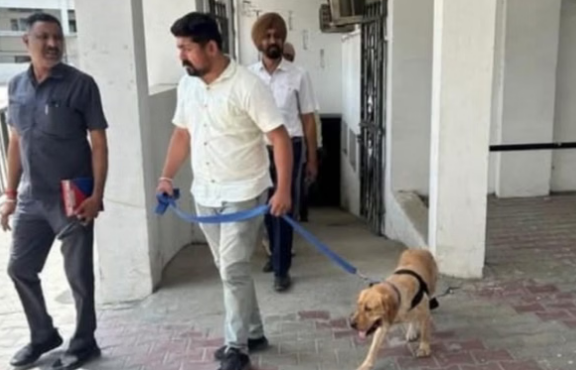 धमकी भरे ईमेल से मचा हड़कंप, स्कूल खाली करवाए गए धमकी भरे ईमेल से मचा हड़कंप, स्कूल खाली करवाए गए