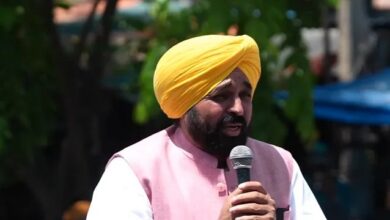 नितिन गडकरी और शिवराज सिंह चौहान से मिलेंगे सीएम मान