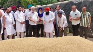 पंजाब में गेहूं खरीद ने पकड़ी रफ्तार, 24 लाख मीट्रिक टन खरीद पूरी, किसानों के खातों में ₹647 करोड़ जारी पंजाब में गेहूं खरीद ने पकड़ी रफ्तार, 24 लाख मीट्रिक टन खरीद पूरी, किसानों के खातों में ₹647 करोड़ जारी