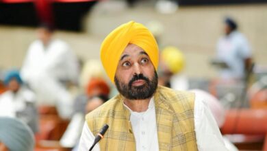 मजीठा से तलबीर सिंह गिल पर AAP का बड़ा दांव, सीएम भगवंत मान ने दिए चुनावी संकेत