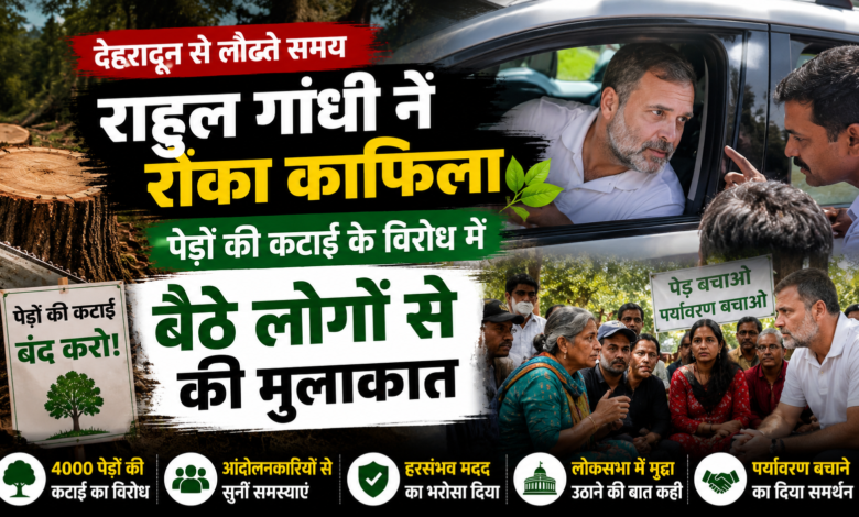 ऋषिकेश रूट पर राहुल गांधी का काफिला रुका, पर्यावरण आंदोलनकारियों ने सुनाई अपनी परेशानी ऋषिकेश रूट पर राहुल गांधी का काफिला रुका, पर्यावरण आंदोलनकारियों ने सुनाई अपनी परेशानी