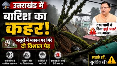 उत्तराखंड मानसून अपडेट: मसूरी में पेड़ गिरने से बड़ा हादसा टला उत्तराखंड मानसून अपडेट: मसूरी में पेड़ गिरने से बड़ा हादसा टला