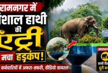 हाथी की मौजूदगी से प्रभावित हुआ बांध क्षेत्र का कामकाज