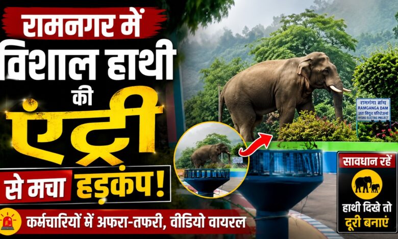 हाथी की मौजूदगी से प्रभावित हुआ बांध क्षेत्र का कामकाज