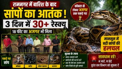Ramnagar News: बारिश के बाद घरों में घुस रहे जहरीले सांप, वन विभाग ने जारी की एडवाइजरी
