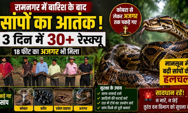 Ramnagar News: बारिश के बाद घरों में घुस रहे जहरीले सांप, वन विभाग ने जारी की एडवाइजरी Ramnagar News: बारिश के बाद घरों में घुस रहे जहरीले सांप, वन विभाग ने जारी की एडवाइजरी