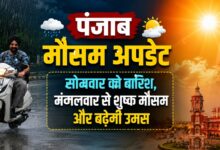 पंजाब में फिर कमजोर पड़ेगा मानसून, मंगलवार से बारिश में कमी; छह जिलों में बरसेंगे बादल