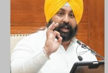 Punjab Government Schools: 10 हजार से ज्यादा इंटरएक्टिव पैनल, 5,012 कंप्यूटर लैब का दावा