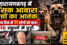 Narayanbagar News: हिंसक कुत्तों के हमलों से दहशत, 10 विद्यालयों में 23 अगस्त तक छुट्टी Narayanbagar News: हिंसक कुत्तों के हमलों से दहशत, 10 विद्यालयों में 23 अगस्त तक छुट्टी