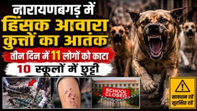Narayanbagar News: हिंसक कुत्तों के हमलों से दहशत, 10 विद्यालयों में 23 अगस्त तक छुट्टी