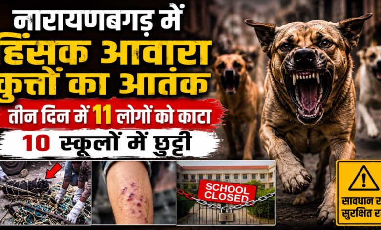 Narayanbagar News: हिंसक कुत्तों के हमलों से दहशत, 10 विद्यालयों में 23 अगस्त तक छुट्टी