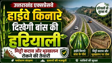 हाईवे किनारे बांस की हरित पट्टी, भूस्खलन से लेकर पर्यावरण तक को मिलेगा फायदा