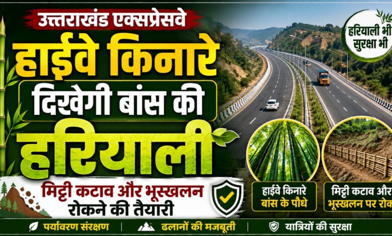 हाईवे किनारे बांस की हरित पट्टी, भूस्खलन से लेकर पर्यावरण तक को मिलेगा फायदा