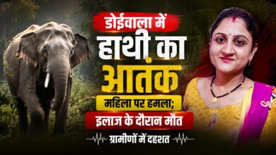 हाथियों की दहशत के बीच डोईवाला में दर्दनाक हादसा, महिला की मौत