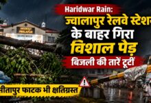 ज्वालापुर स्टेशन के बाहर पेड़ गिरा, सीतापुर फाटक से टकराया अज्ञात वाहन ज्वालापुर स्टेशन के बाहर पेड़ गिरा, सीतापुर फाटक से टकराया अज्ञात वाहन