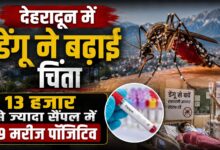 Dengue Alert Dehradun: बारिश के बीच मच्छरों का बढ़ा खतरा, इन बातों का रखें ध्यान