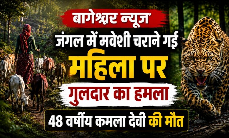 बागेश्वर के जंगल में खौफनाक घटना, 50 से ज्यादा मवेशियों के साथ गई महिला की जान गई बागेश्वर के जंगल में खौफनाक घटना, 50 से ज्यादा मवेशियों के साथ गई महिला की जान गई