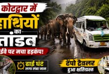 लैंसडौन वन प्रभाग की कोटद्वार रेंज में हाथियों ने हाईवे पर रोका ट्रैफिक, कई वाहनों को नुकसान; 2.5 घंटे बाद खुला रास्ता