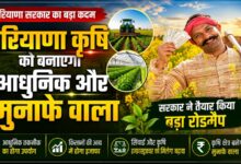 हरियाणा कृषि को बनाएगा आधुनिक और मुनाफे वाला, सरकार ने तैयार किया बड़ा रोडमैप