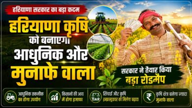 हरियाणा कृषि को बनाएगा आधुनिक और मुनाफे वाला, सरकार ने तैयार किया बड़ा रोडमैप हरियाणा कृषि को बनाएगा आधुनिक और मुनाफे वाला, सरकार ने तैयार किया बड़ा रोडमैप