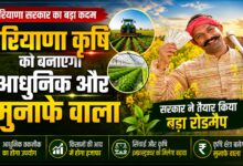 ग्रीनहाउस और वर्टिकल फार्मिंग को मिलेगा बढ़ावा, 1,000 एकड़ का लक्ष्य