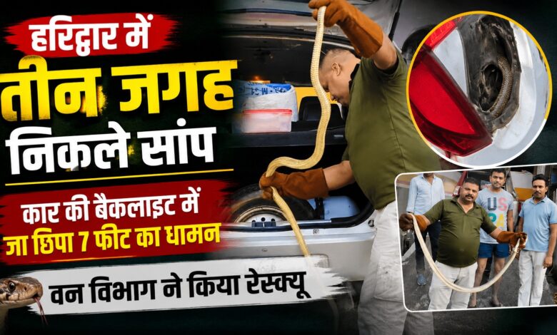 Haridwar News: एक दिन में तीन Snake Rescue, कोबरा और अजगर समेत धामन को जंगल छोड़ा