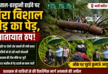 नैनीताल हाईवे पर पेड़ गिरने से मची अफरा-तफरी, यात्रियों को दी गई ये सलाह
