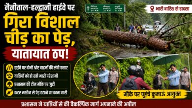 नैनीताल हाईवे पर पेड़ गिरने से मची अफरा-तफरी, यात्रियों को दी गई ये सलाह