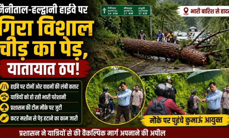 नैनीताल हाईवे पर पेड़ गिरने से मची अफरा-तफरी, यात्रियों को दी गई ये सलाह