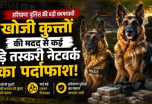 जीरो टॉलरेंस नीति पर हरियाणा पुलिस, नशा तस्करों पर लगातार कार्रवाई