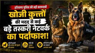 हरियाणा में नशा तस्करों पर डॉग स्क्वाड का बड़ा प्रहार, 48 मामलों का खुलासा