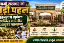 मुख्य सचिव आनंद बर्द्धन ने आयुष मंत्रालय से की अहम बैठक, AIIA पर हुई चर्चा