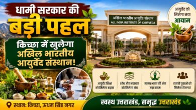 मुख्य सचिव आनंद बर्द्धन ने आयुष मंत्रालय से की अहम बैठक, AIIA पर हुई चर्चा