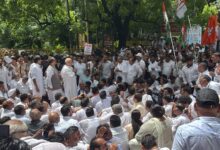 हरियाणा में सरकारी भर्तियों की मांग तेज, HKRN कर्मचारियों के समर्थन में कांग्रेस का प्रदर्शन