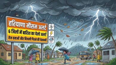 Haryana Rain: 6 जिलों में भारी बारिश की संभावना, मौसम विभाग ने जारी की चेतावनी