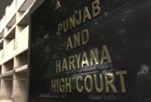 पंजाब की जेलों में 44% कैदी नशे पर निर्भर, हाईकोर्ट ने कहा- इससे गंभीर स्थिति और क्या होगी?