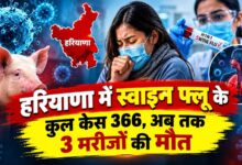 हरियाणा में तेजी से फैल रहा स्वाइन फ्लू, एक दिन में 35 नए केस मिलने से हड़कंप